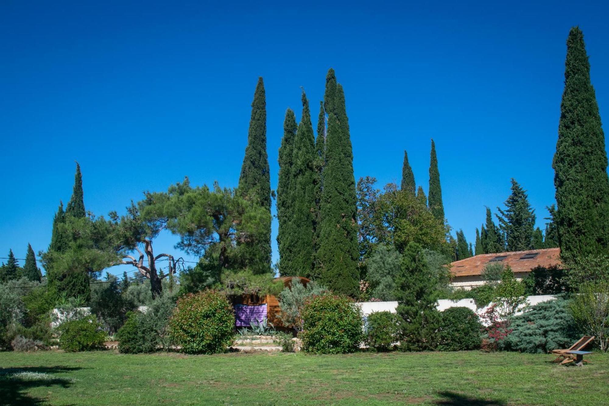 Hotel Vintage Provence Arles Pokój zdjęcie